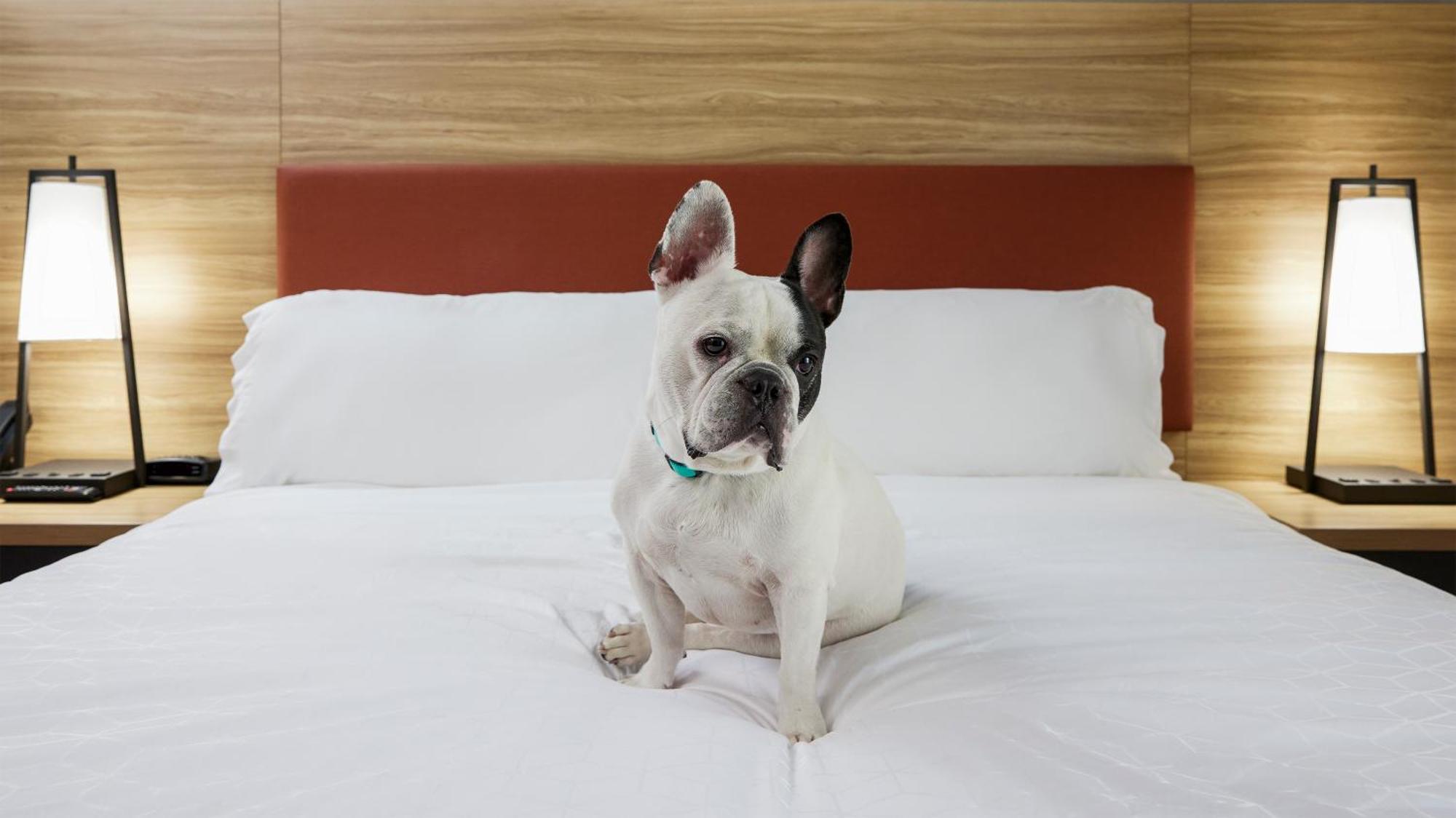 Candlewood Suites Junction City - Ft. Riley By Ihg Dış mekan fotoğraf